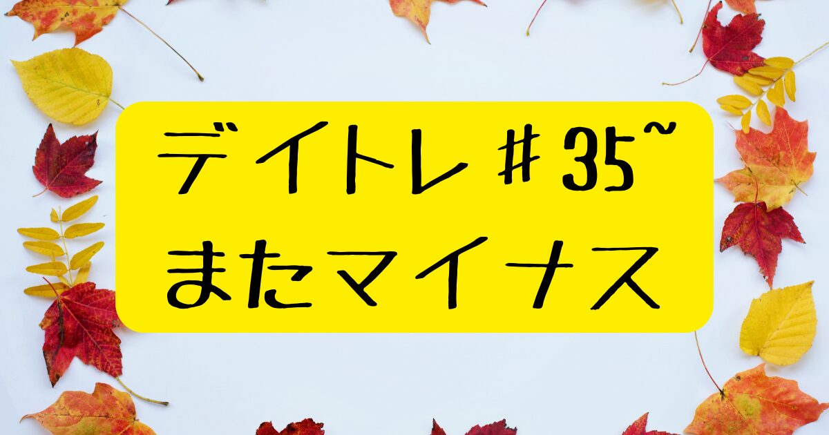 たんさんまんのデイトレ記録2024年11月